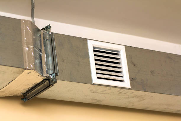 Best Home Air Vent Cleaning  in Winter Park, FL